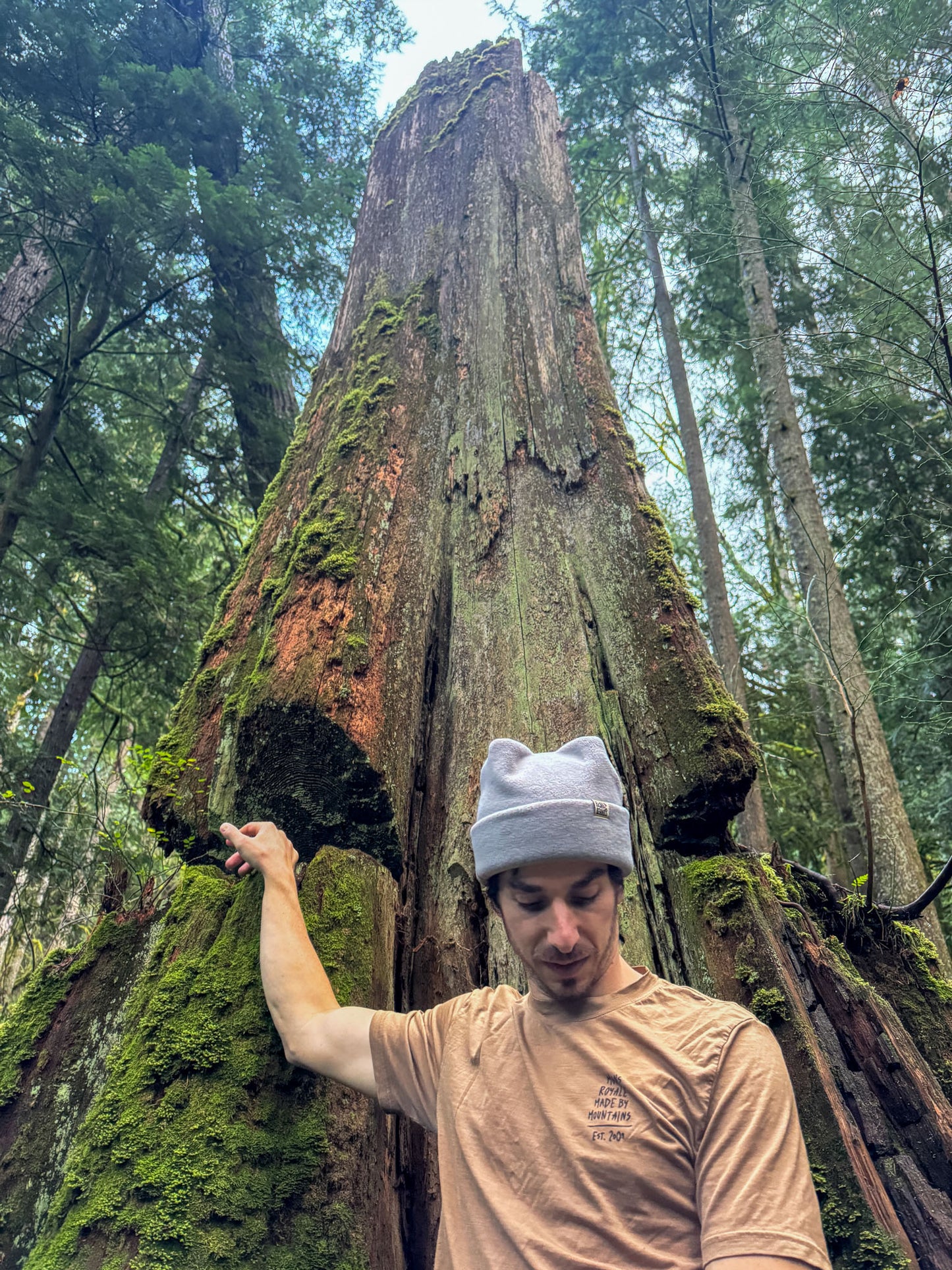 4 POINT BEANIE - WARM GRAY